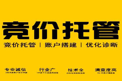 搜索引擎营销（SEM）托管服务在某企业的成功应用
